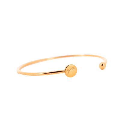 Bracelet Jonc